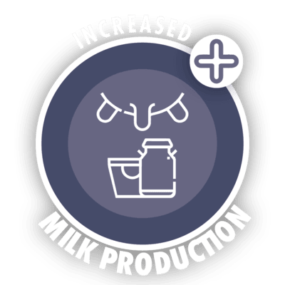 increased milk production