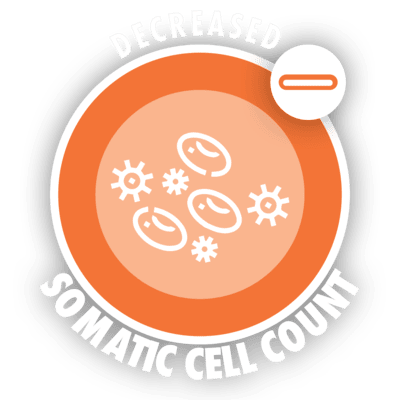 decreased somatic cell count