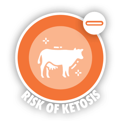 risk of ketosis