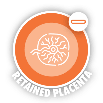 retained placentia