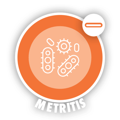 metritis